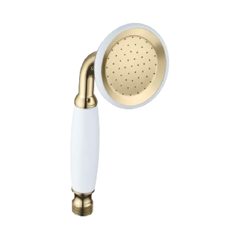 S317J Single Function ( Gold） Wall Bracket， Handset， Waste ＆ Shower Hose