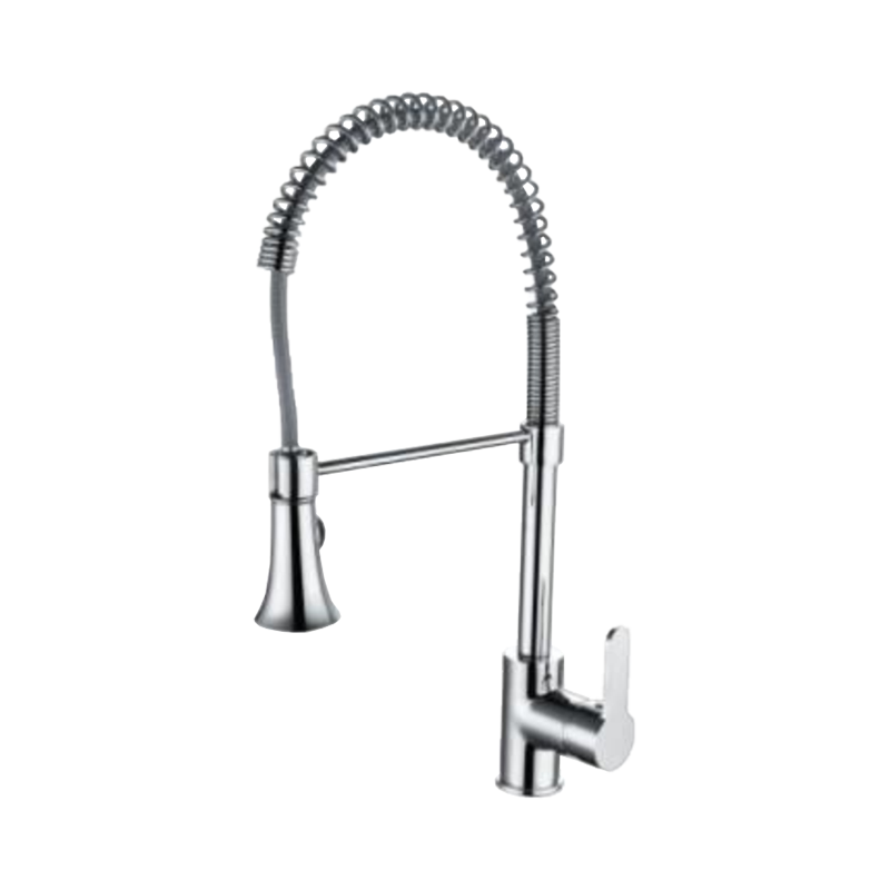 T1021 Kitchen Sink Mixer Kitchen Tap