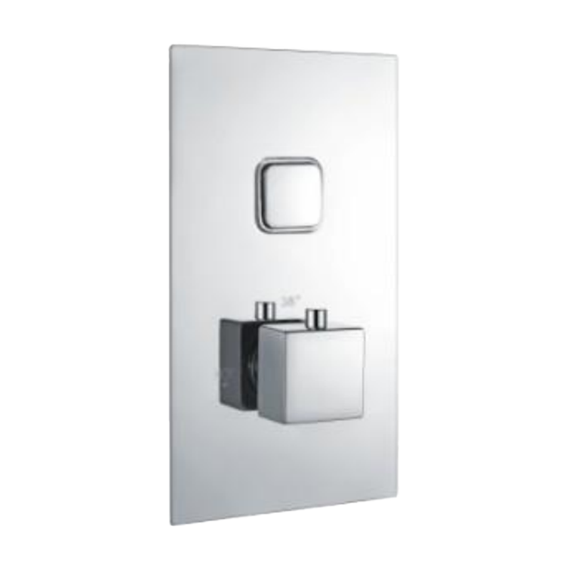 T47112 Push Button Thermostatic Shower Valve ( One Outlet ) Thermostatic Shower Valve and Shower Kit