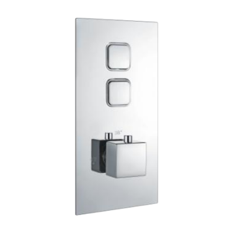 T47112D Push Button Thermostatic Shower Valve ( Two Outlets )